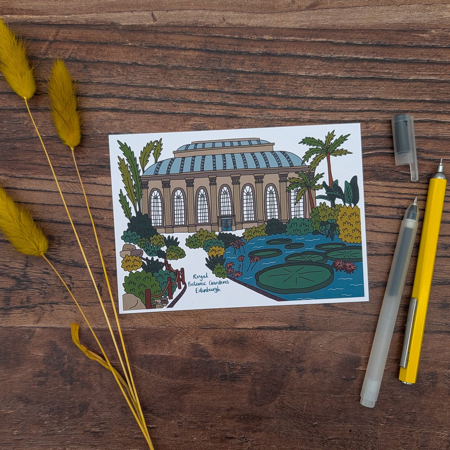 Botanic Gardens Edinburgh Illustrated Postcard