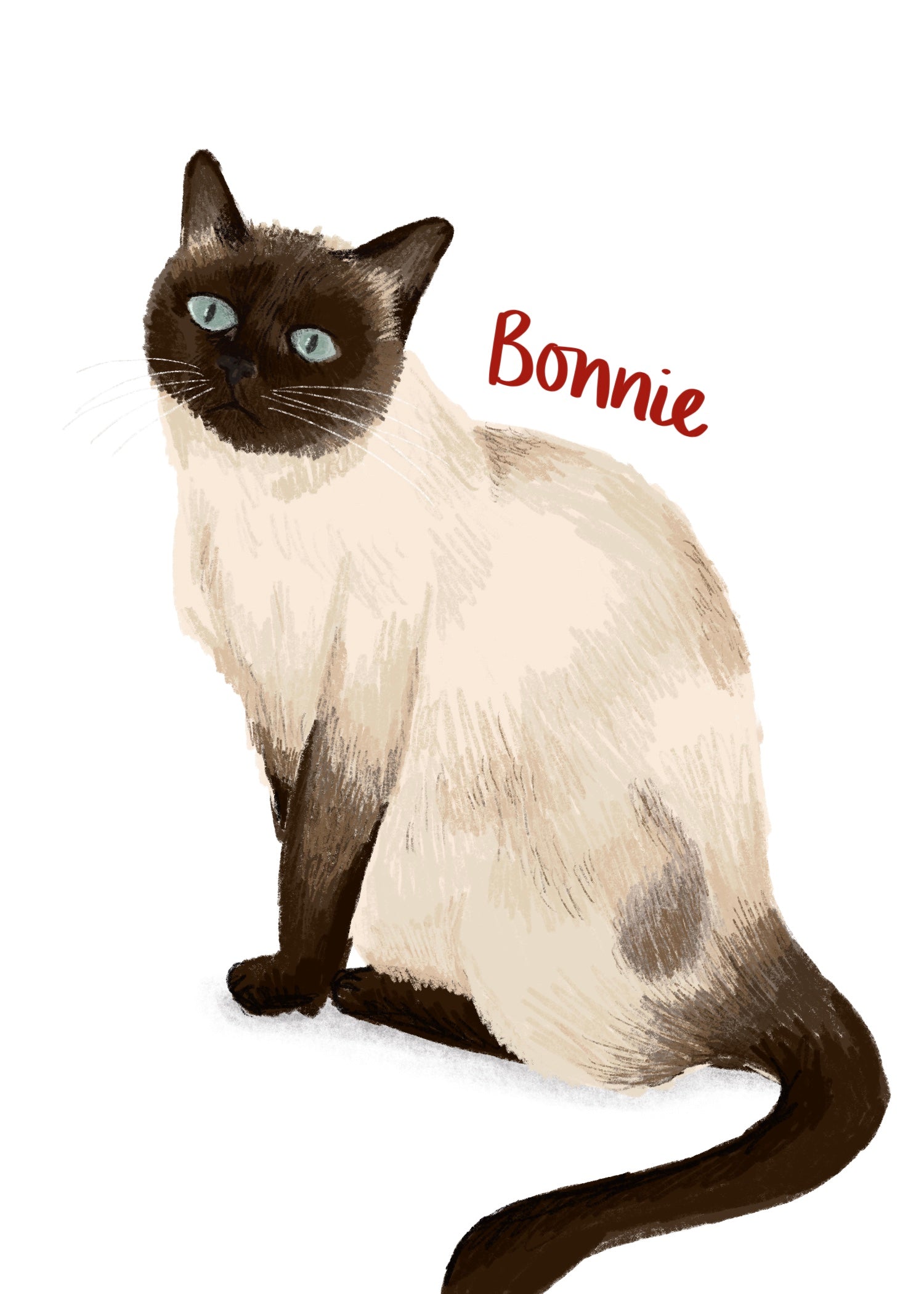 Bonnie.jpg