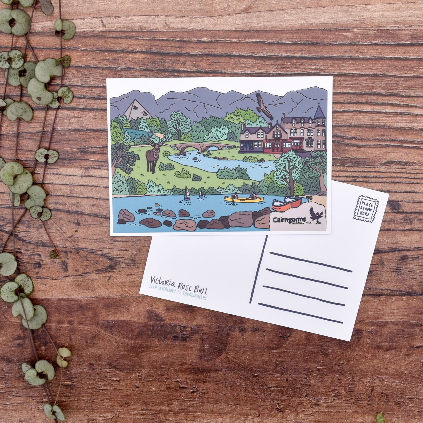 Cairngorms Scotland Illustrated Postcard