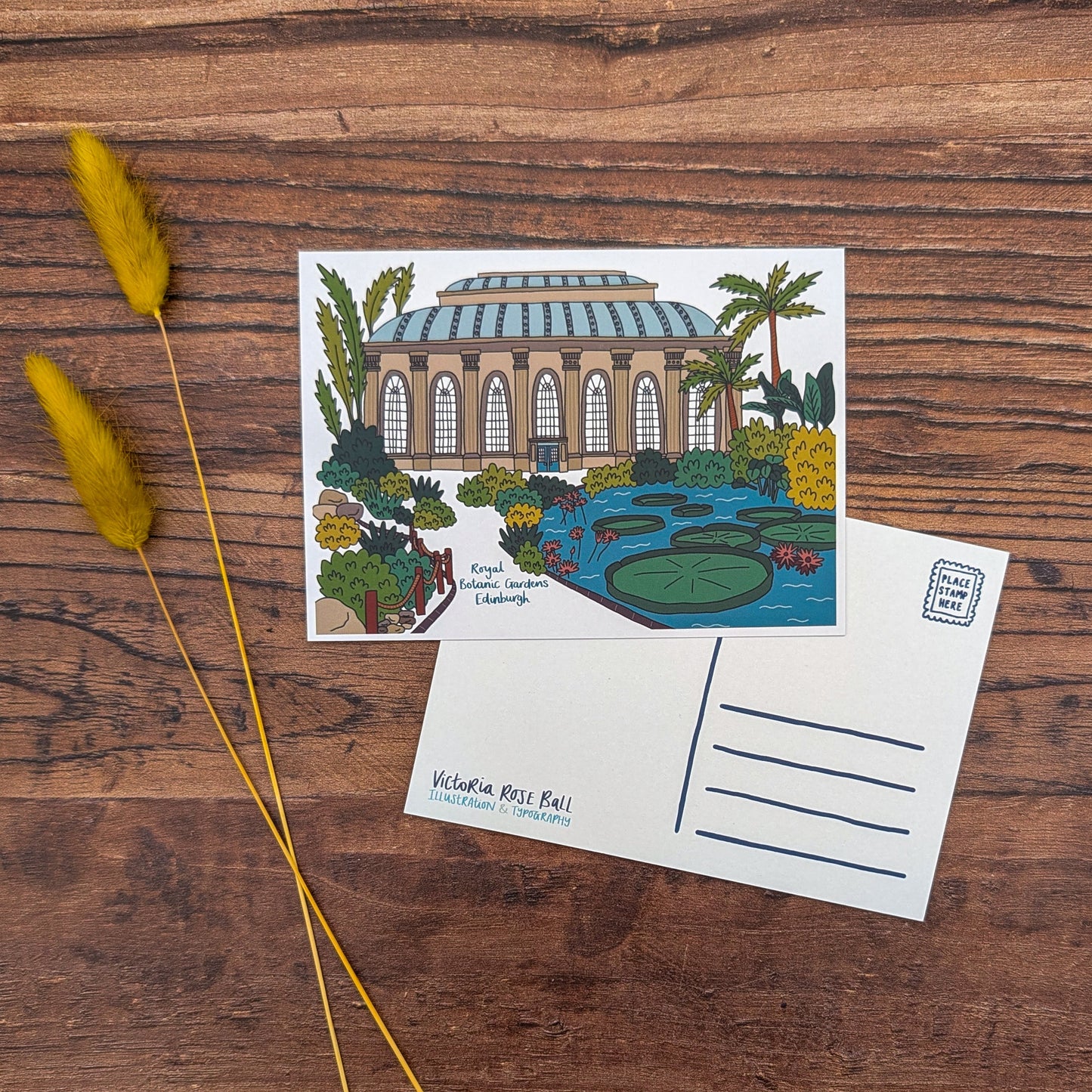 Botanic Gardens Edinburgh Illustrated Postcard